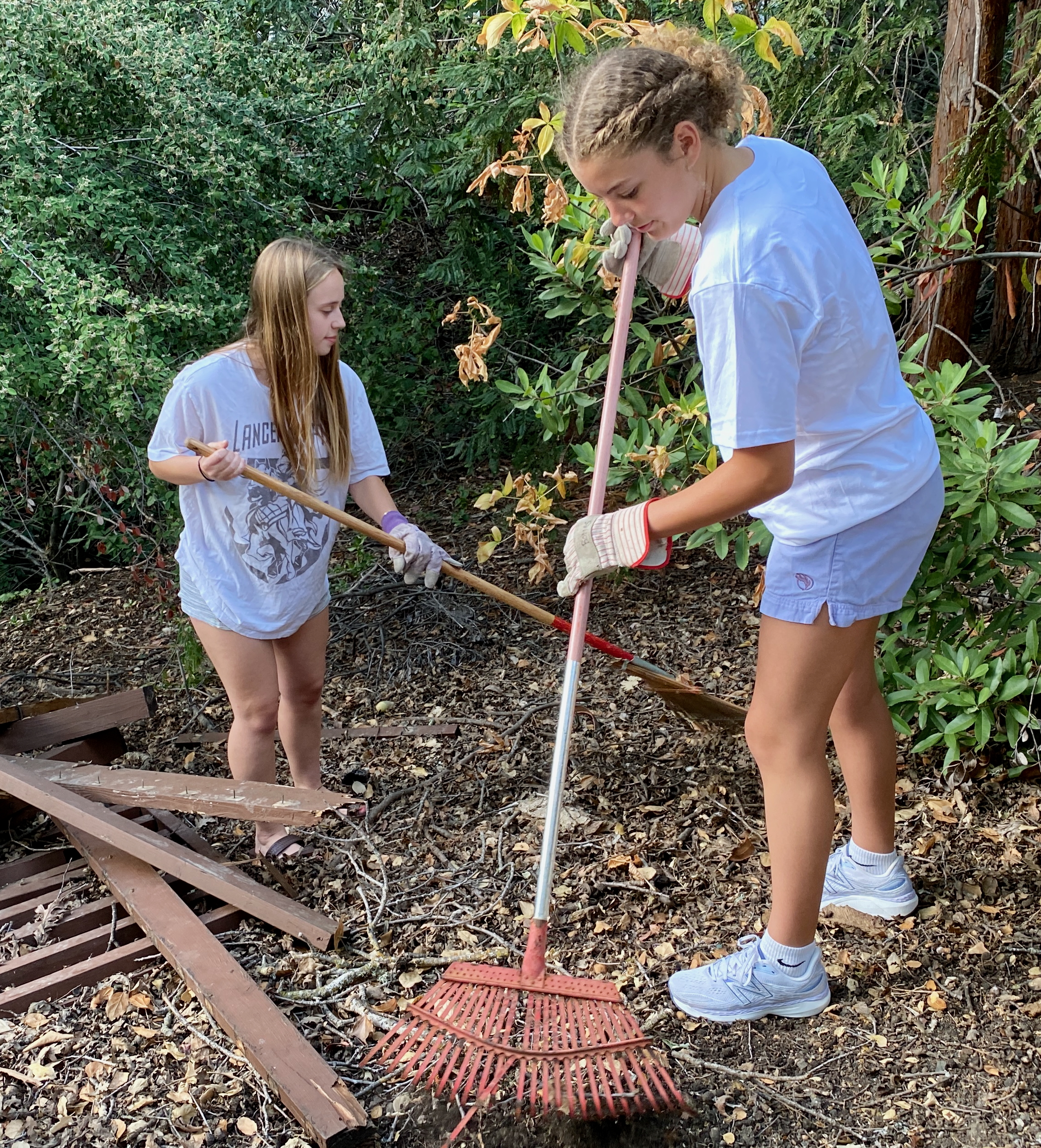 Yard work