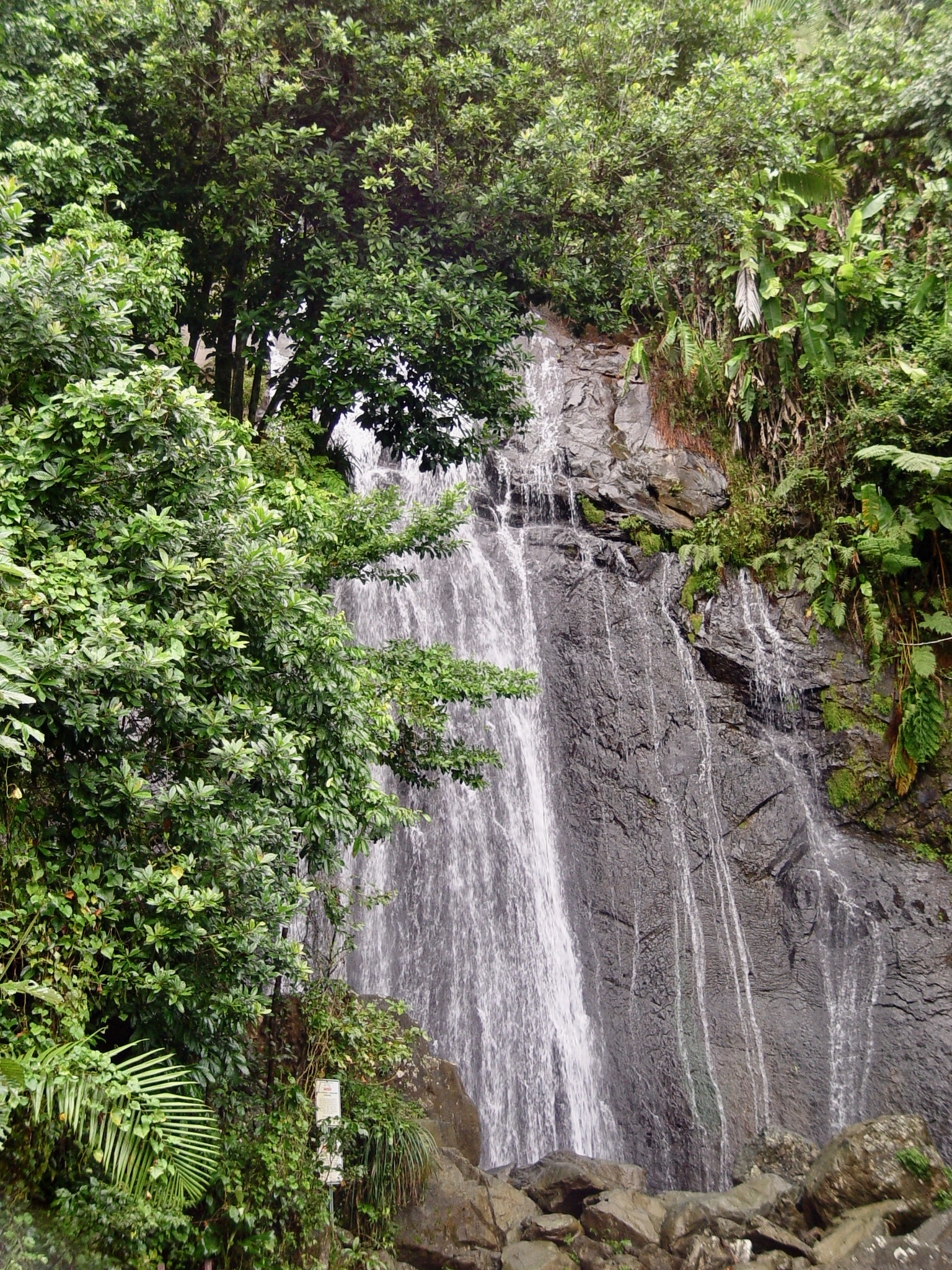 El Yunque
